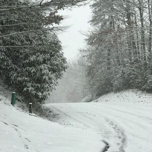 Meet your Posher, Joe